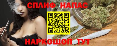 дживик Моздок