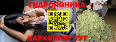 дживик Моздок