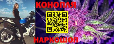дживик Моздок