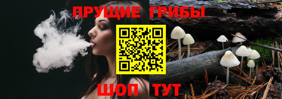 Псилоцибиновые грибы MAGIC MUSHROOMS Владимир
