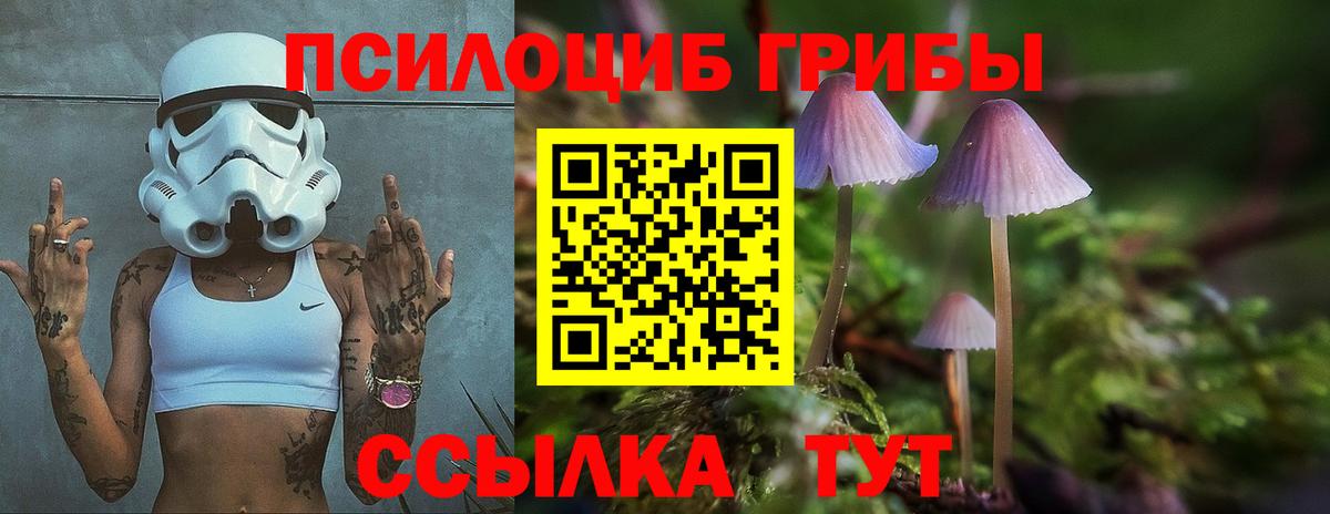 Псилоцибиновые грибы Psilocybine cubensis  где купить наркотик  Владимир  Вход с VPN 